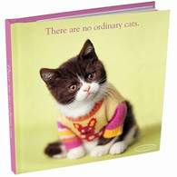 Rachael Hale There are No Ordinary Cats Book