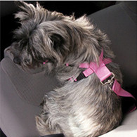 Car Travel Harness for Dogs in Pink