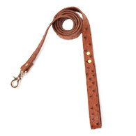 Puppy Angel DU ANGIONE Ostrich Lead in Brown