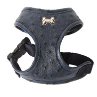 Puppy Angel DU ANGIONE Ostrich Harness in Navy