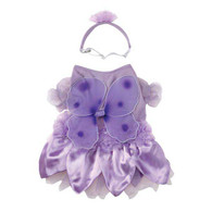 CC Sugar Plum Fairy Costume