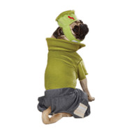 CC Frankenhound Dog Costume in 20" L