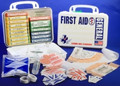 First Aid Kt - 16PW - ANSI General Purpose, 16 Unit