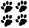 Paw Prints Stencil