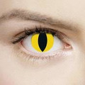 Yellow cat eye contact lenses