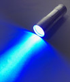 Blacklight/UV Torch