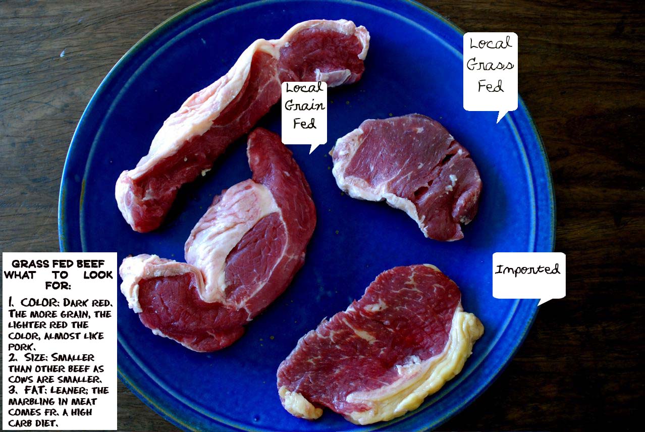 Grass Fed Beef: Questions to Ask when Buying