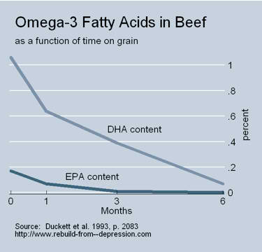 Grass Fed Beef More Health Benefits