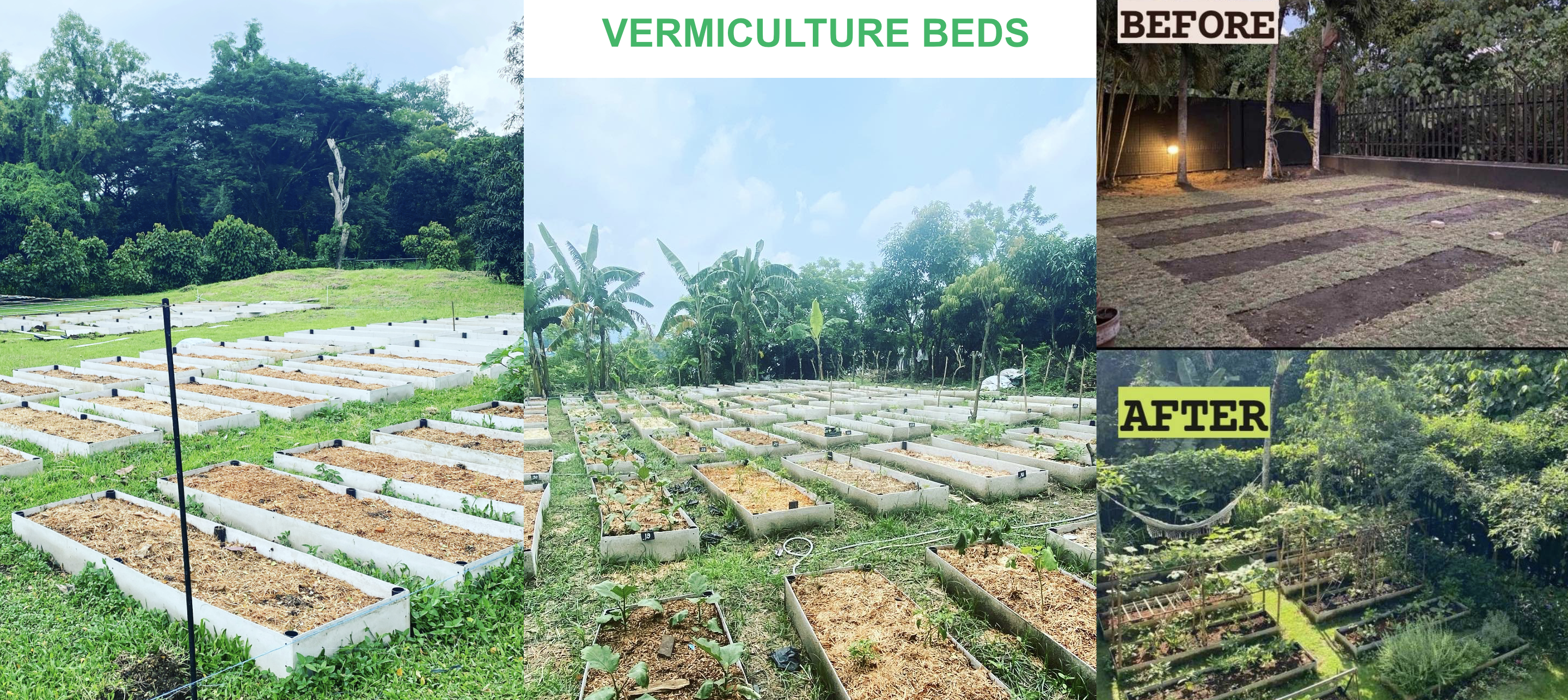 vermiculture-section-down-to-earth-landing-page-1.png