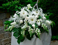 Wedding Head Table Centerpiece With White Flowers