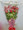 24 Roses Presentation Bouquet