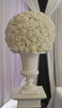 White Carnation Ball in an Urn