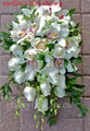 White Cymbidium, Dendrobium Orchids  And Roses Cascading Bridal Bouquet 