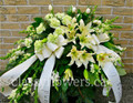 Small open casket spray with cream flowers 