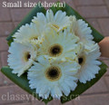 Hand Tied Bridal Bouquet With White Gerbera