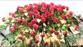 Premium size casket spray with 100 red carnations 