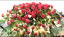 Premium size casket spray with 100 red carnations 