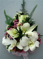 White Dendrobium Orchids Wrist Corsage With Wax Flowers