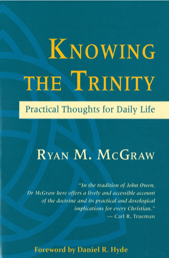 delighting in the trinity an introduction to the christian faith