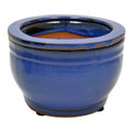 6" Rd Self Water Pot Falling Blue
