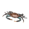 Alan Large Bluepoint Crab