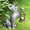 Outdoor Aluminum Cat with Lantern