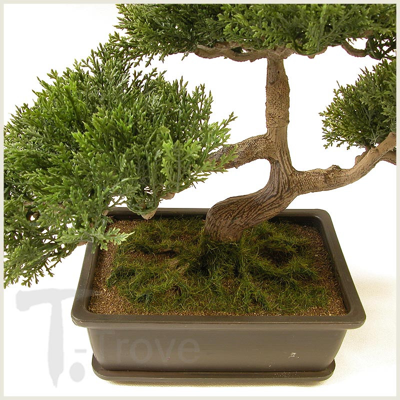 artificial japanese cedar bonsai