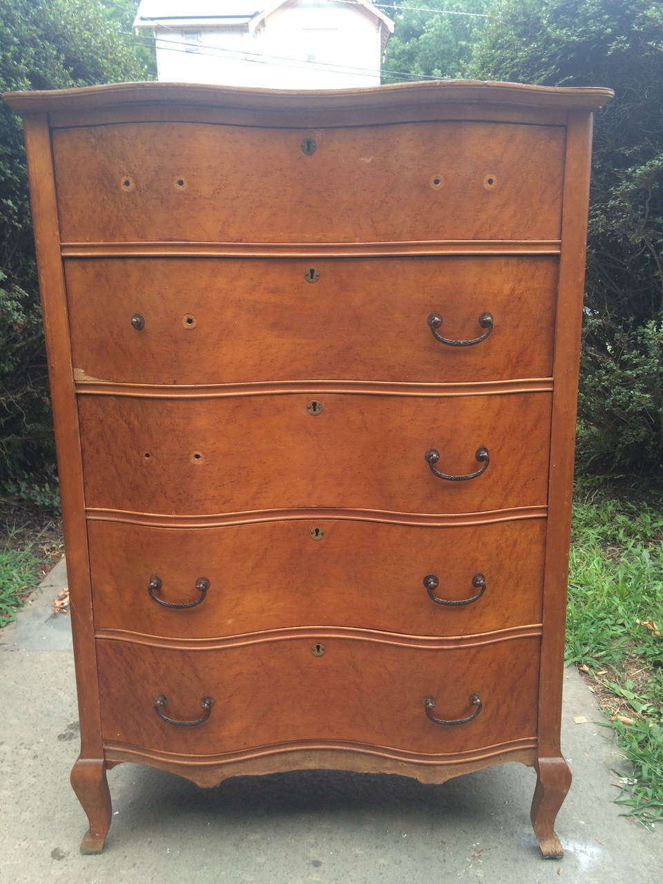 Birdseye Maple Serpentine Front 5 Drawer Dresser Forgotten Furniture