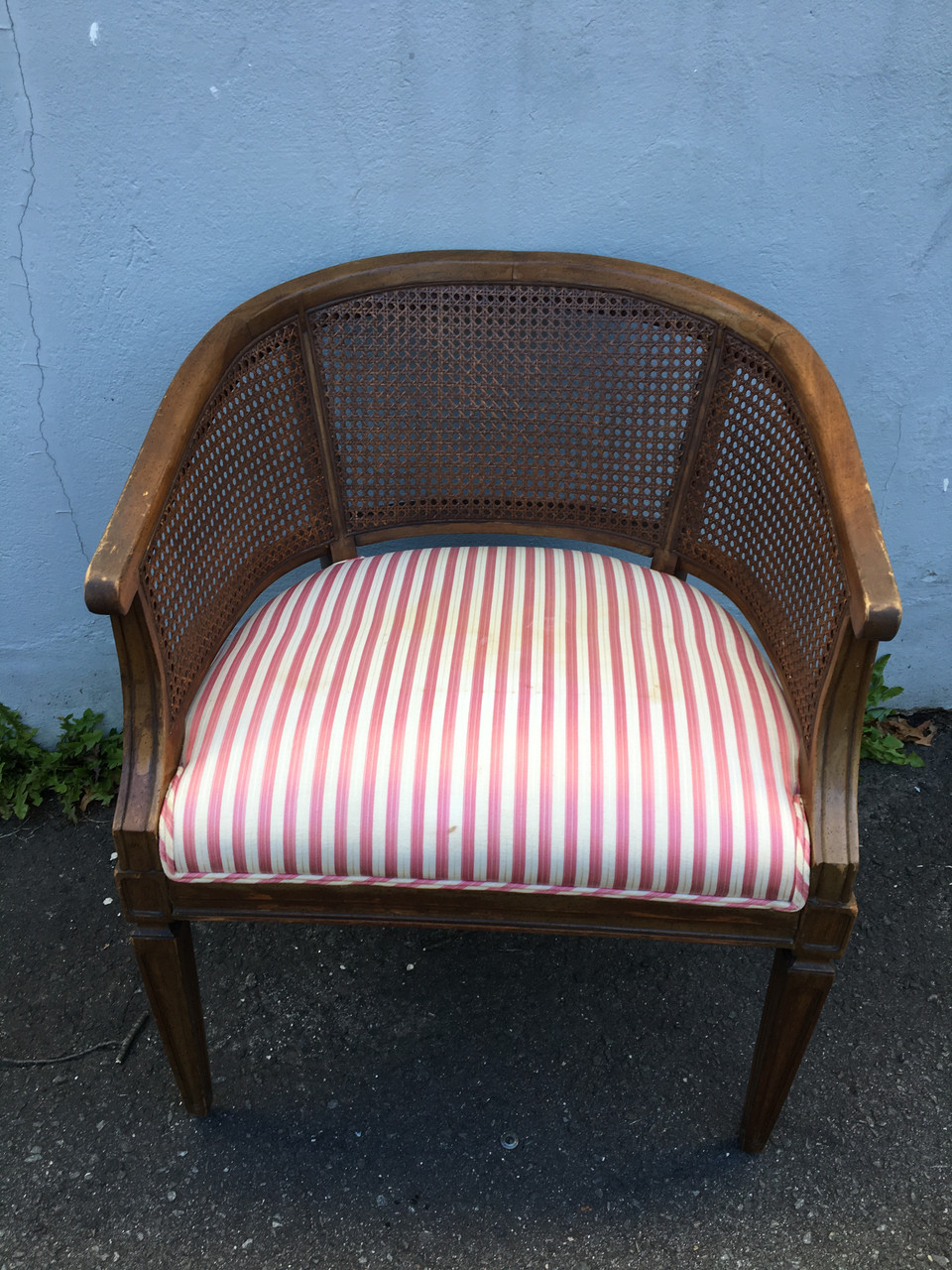 Caned Back Barrel Chair - Forgotten Furniture