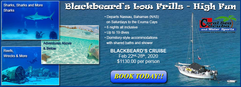 Coral Sea Scuba Blackbeard's Cruise Coral Sea Scuba Blackbeard's Cruise