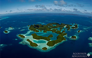 Palau Adventure 2020