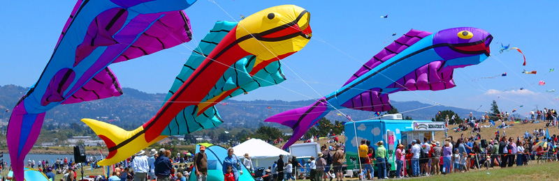 Berkeley Kite Fest