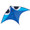 Aerobe Wala, Blue