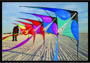 Dual Line Kites