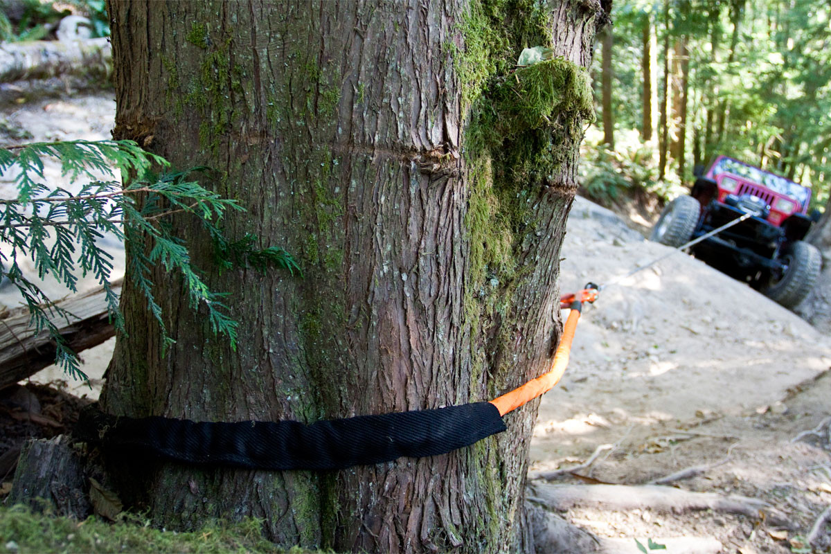 MacGyver Rigging Line, Tree Saver