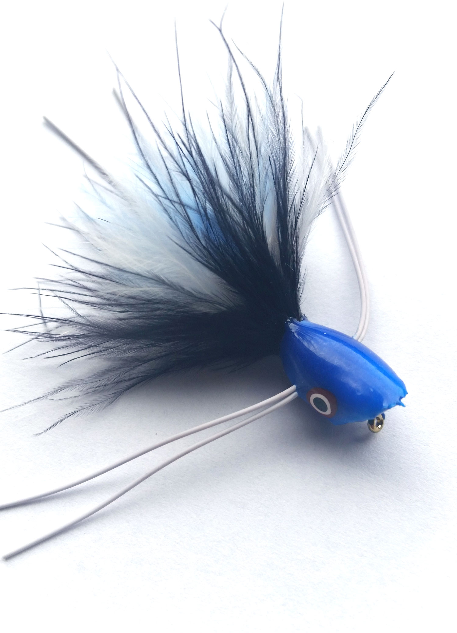 blue-bug-katfly-teaser.jpg blue-bug-katfly-teaser.jpg
