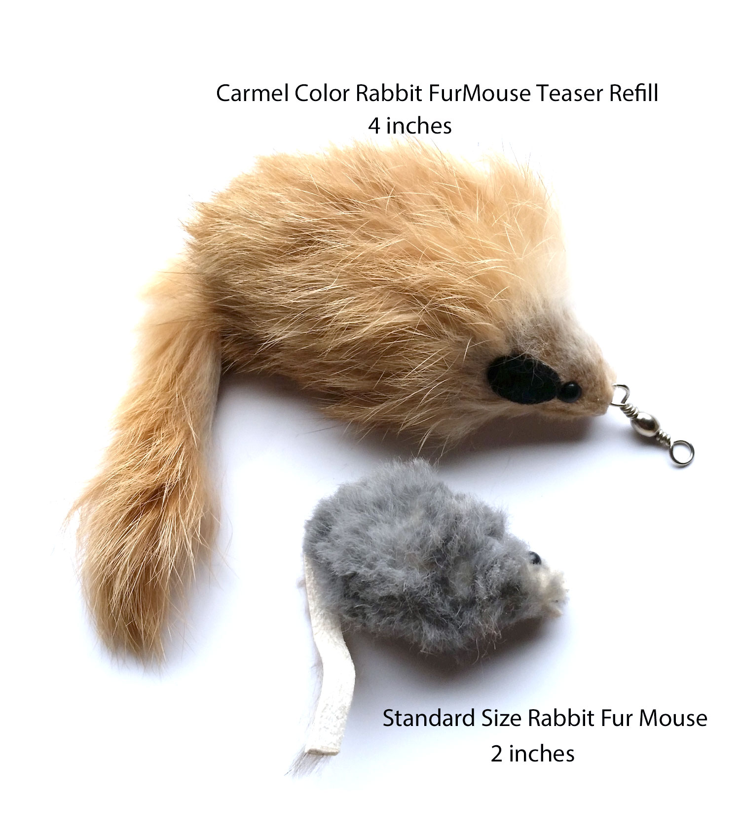 carmel-mouse-comparison.jpg carmel-mouse-comparison.jpg