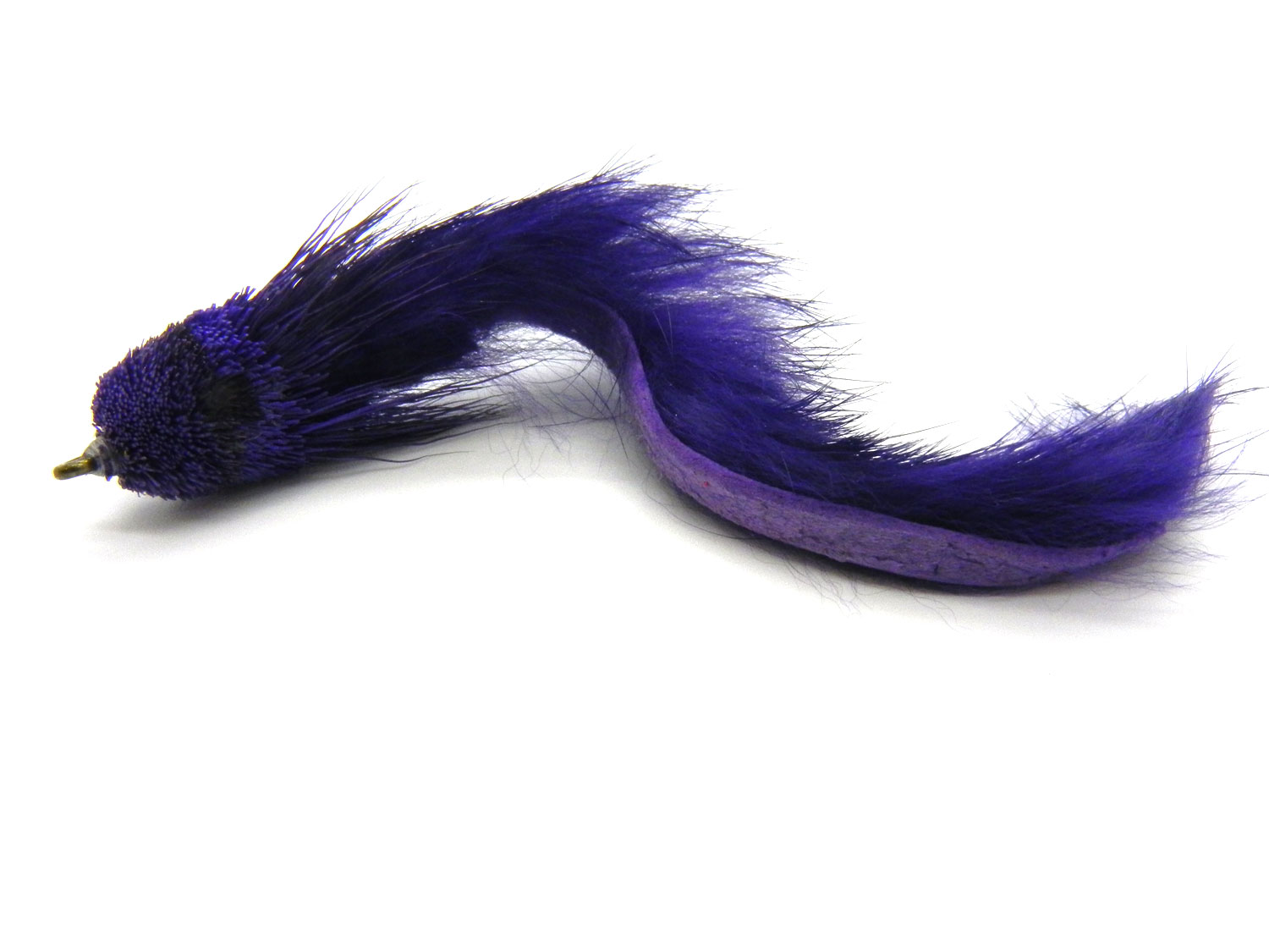 eel.jpg eel.jpg