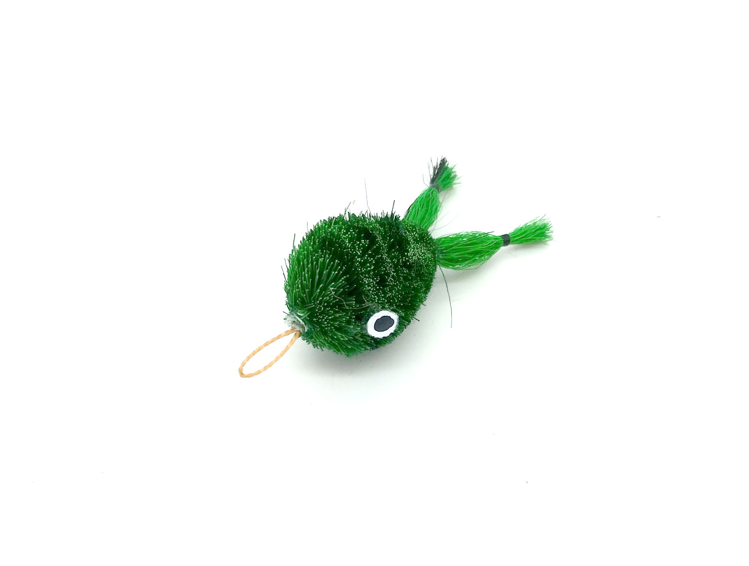 frog-green-pic.jpg frog-green-pic.jpg