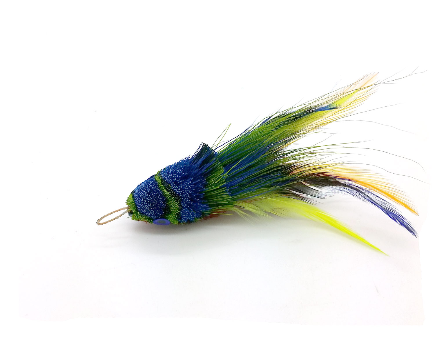 frog-swimming-blue.jpg frog-swimming-blue.jpg