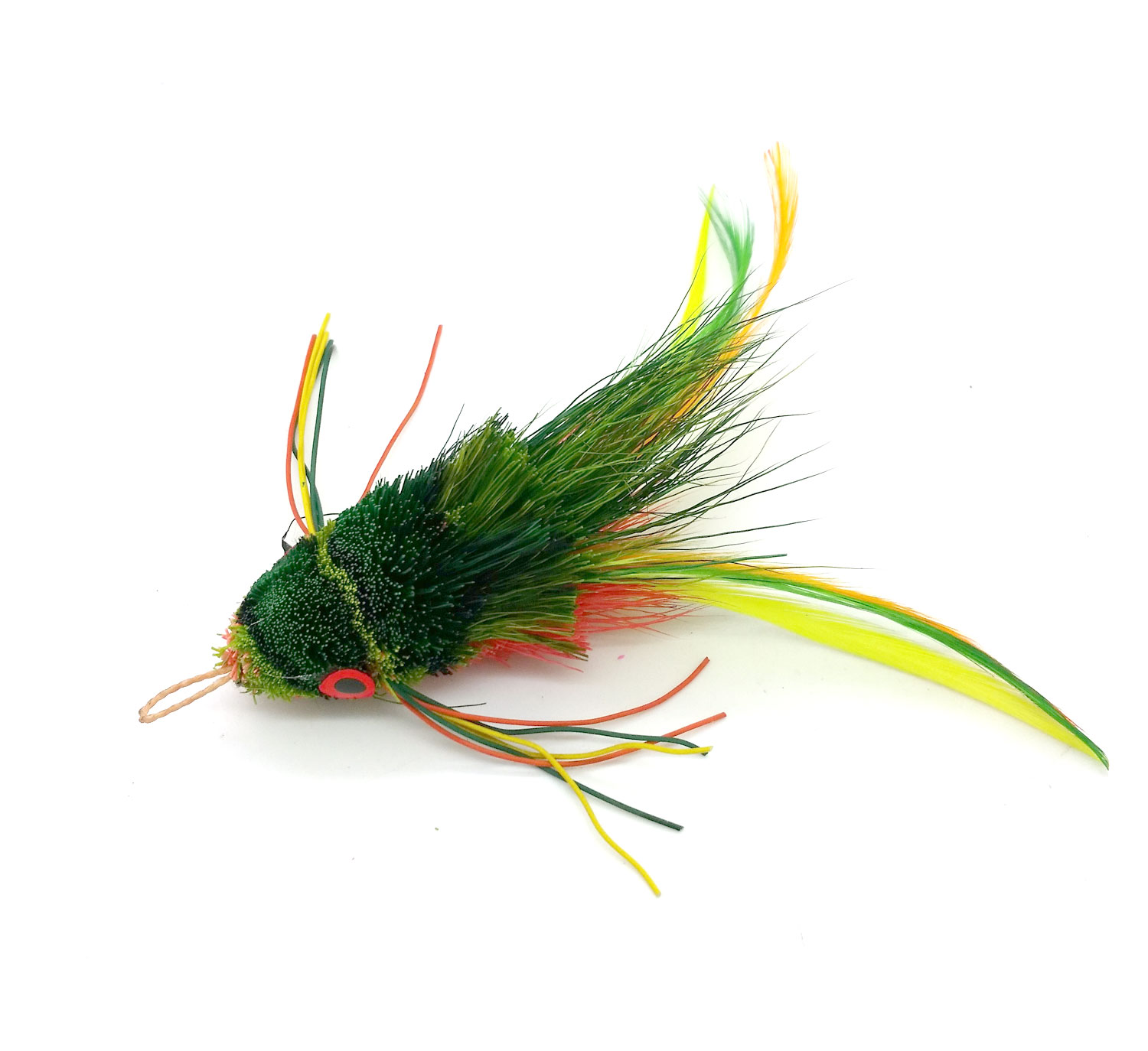 frog-swimming-green.jpg frog-swimming-green.jpg