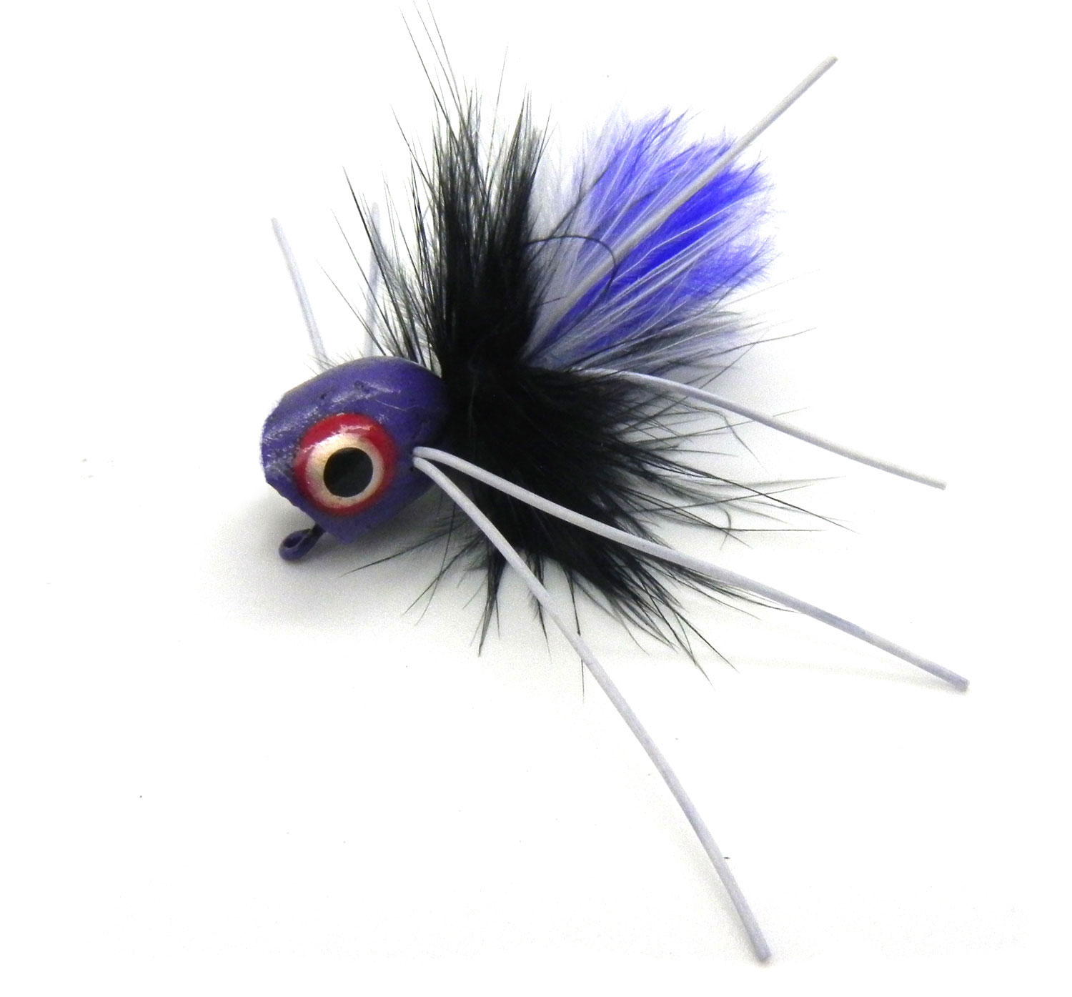 purple-fly.jpg purple-fly.jpg