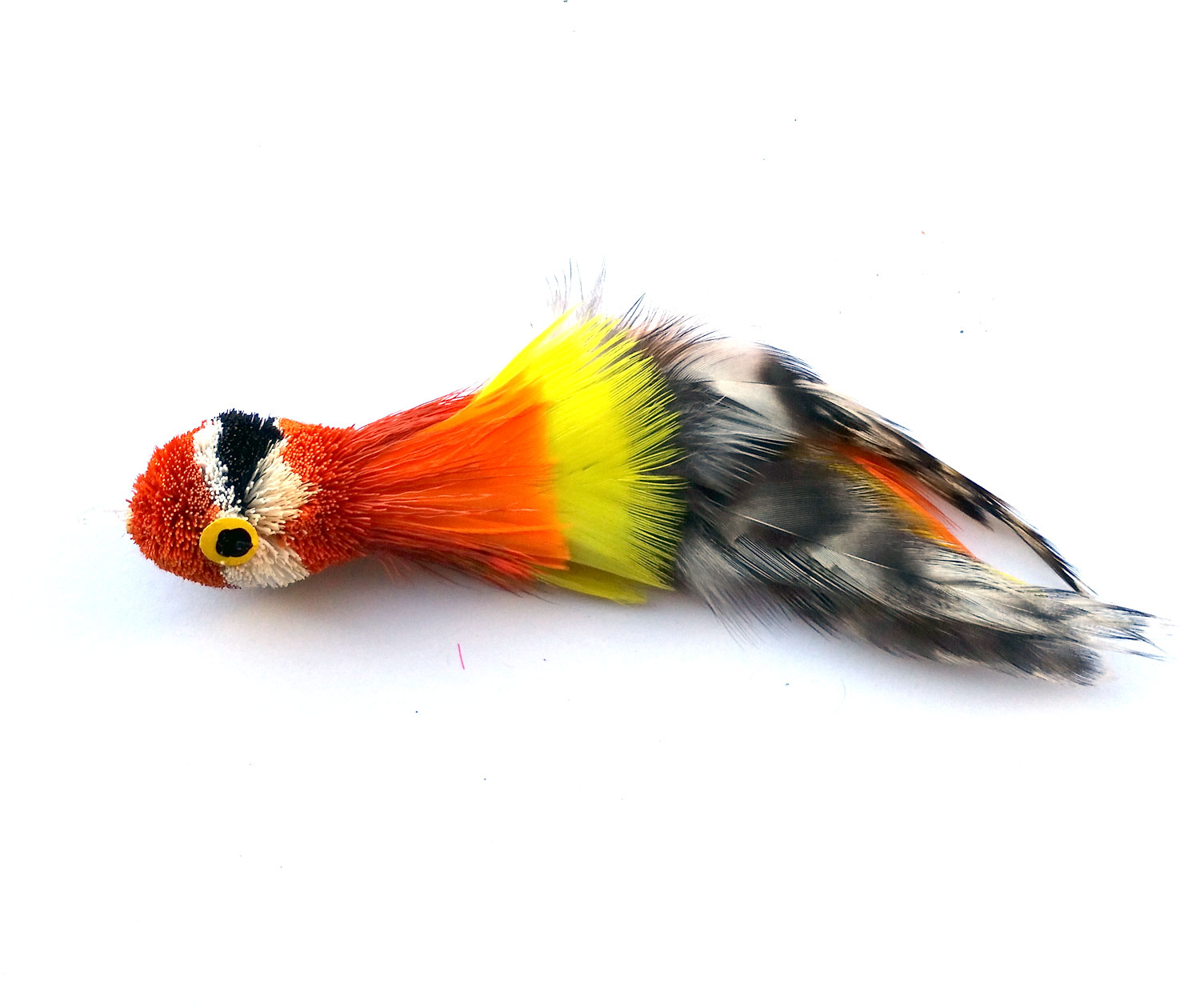 redparrot2.jpg redparrot2.jpg