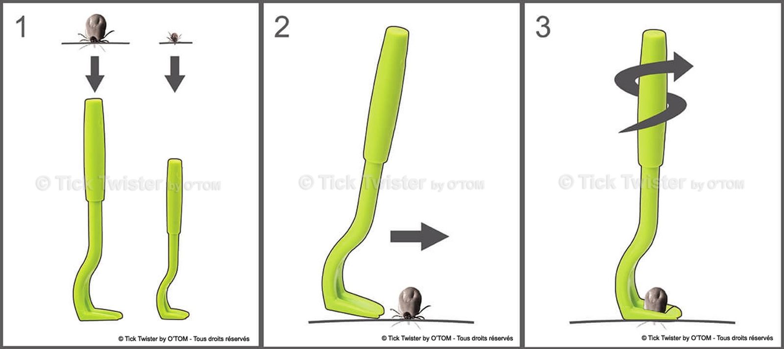 tick-tool.jpg