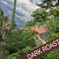Costa Rica Tarrazu Dark Roast