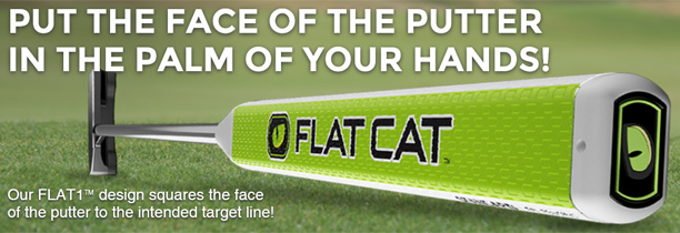 flat-cat-golf-putter-grip-in-the-palm-of-your-hands.jpg