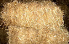 Straw bales - no weed seeds