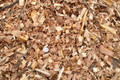 Wood Chips - Whole Tree -- cubic yard