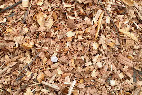 Whole tree wood chips, woodchip mulch, silver mulch, cheap mulch, MA