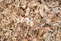 Clean mill wood chips